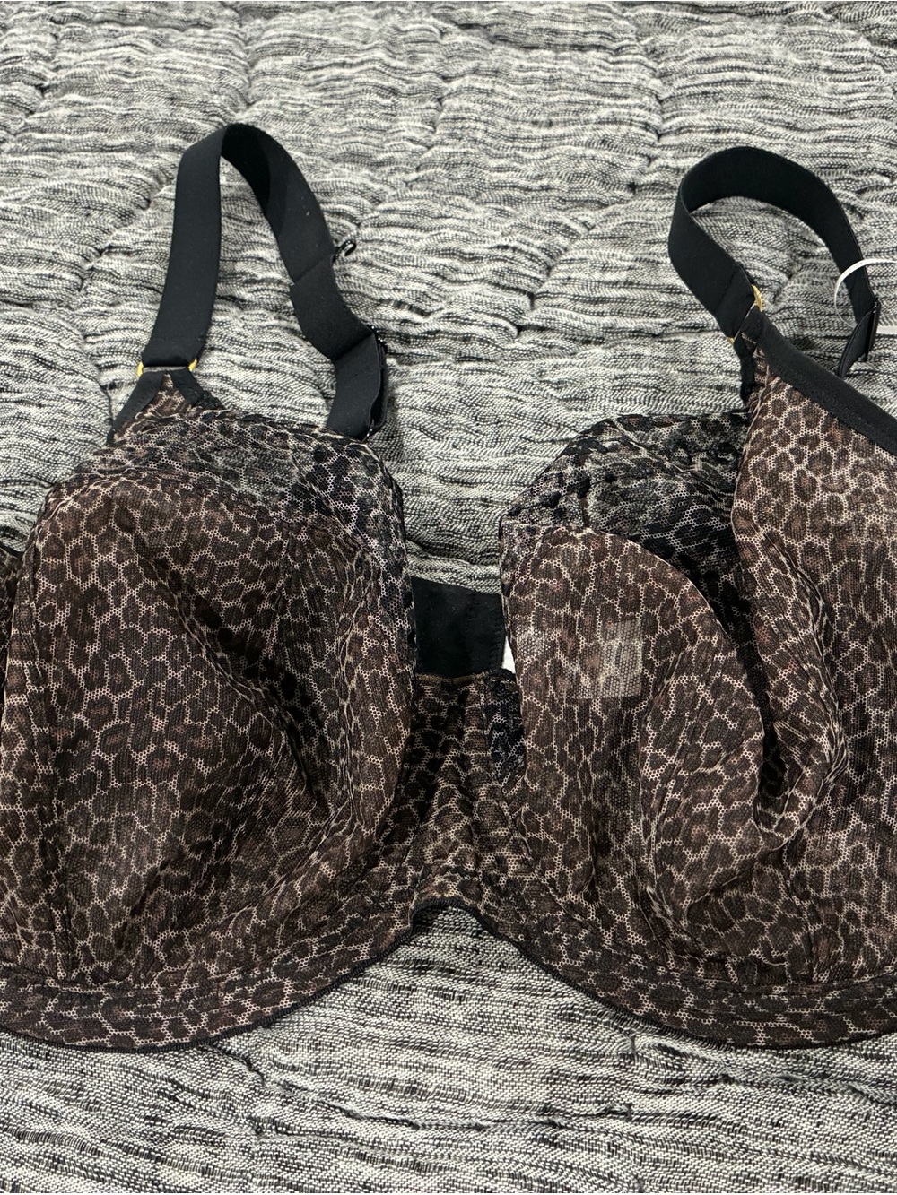 Elomi Brown Leopard Lace Sheer Underwire Bra